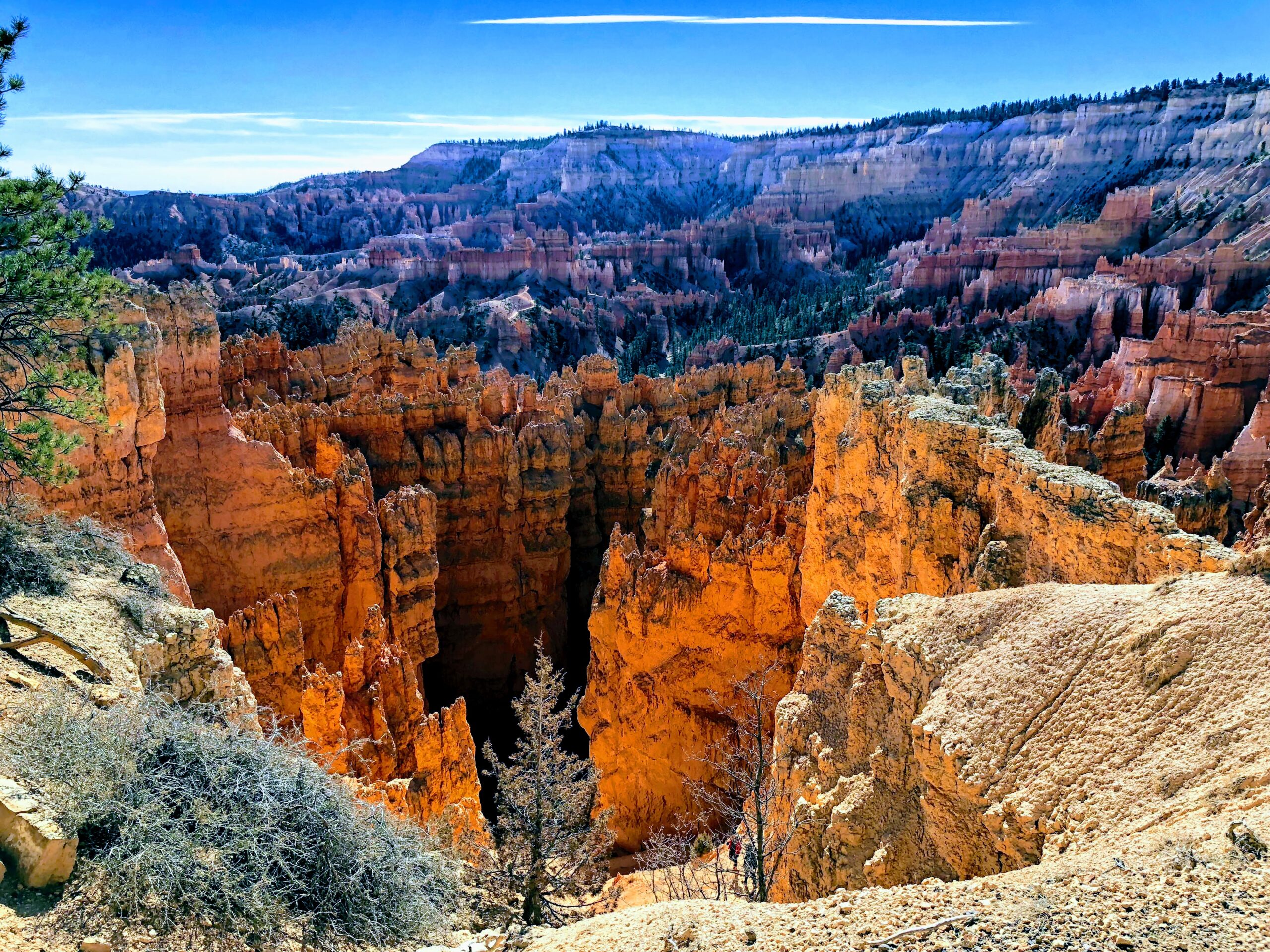 Bryce Canyon hoodoos