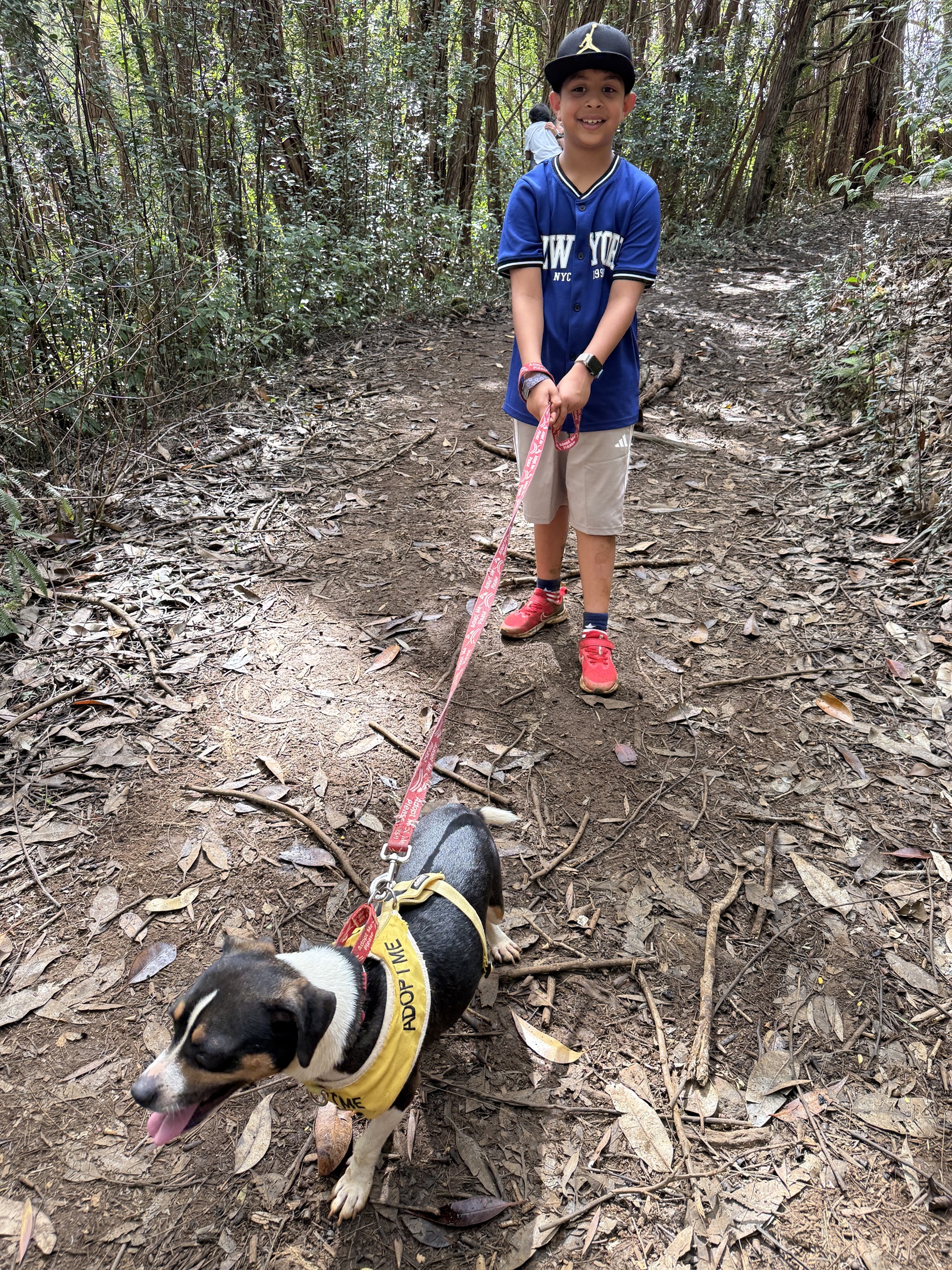 Kauai Doggie Day